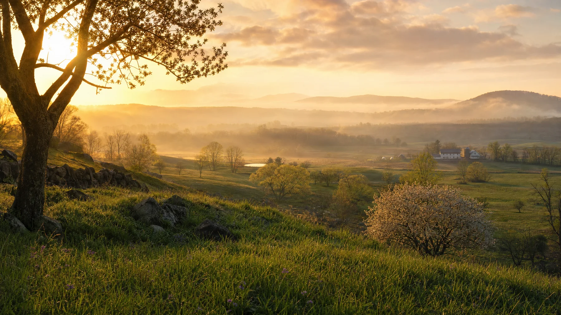 The First Day of Spring. And Why New Beginnings Do Not Wait for January.
