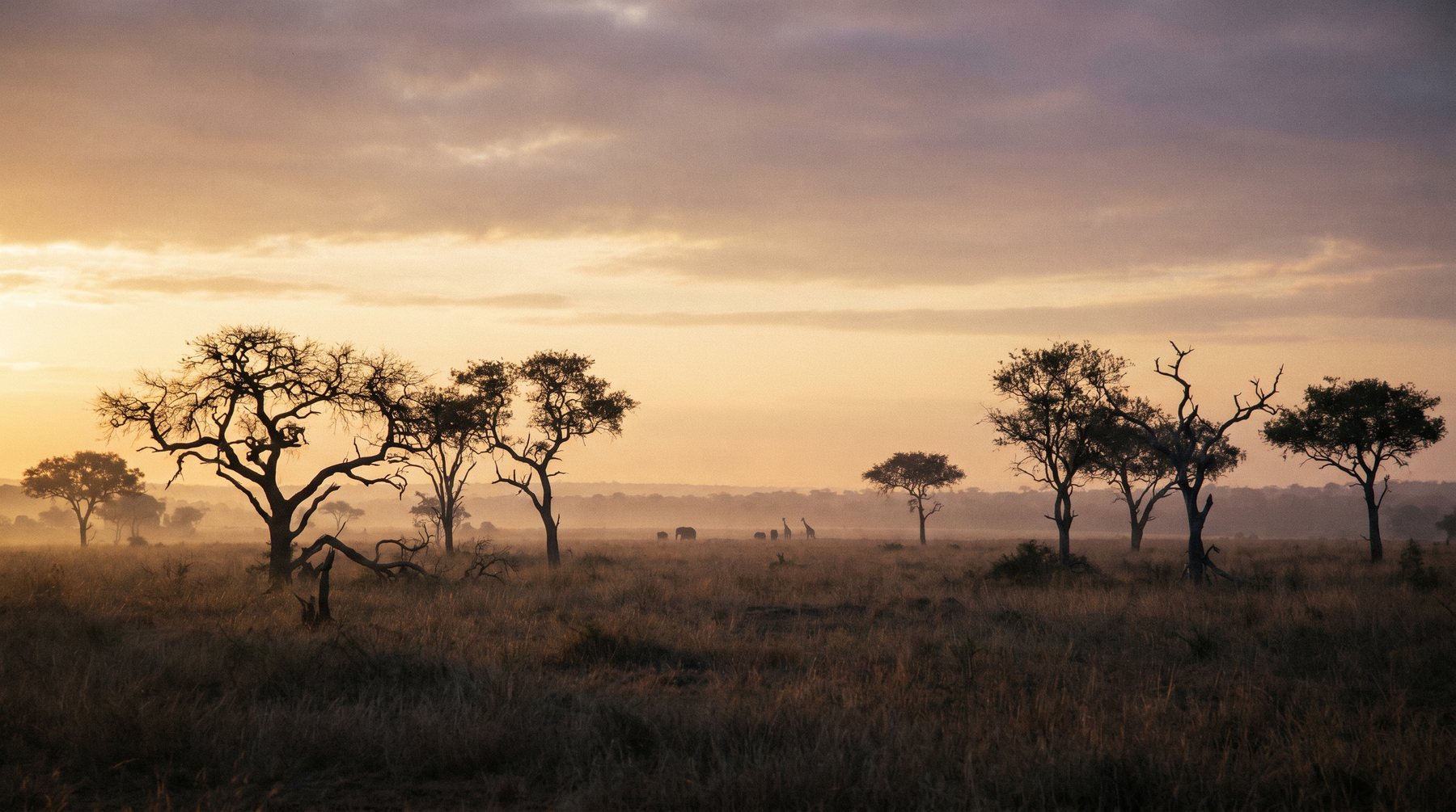 Tax and business context — South Africa