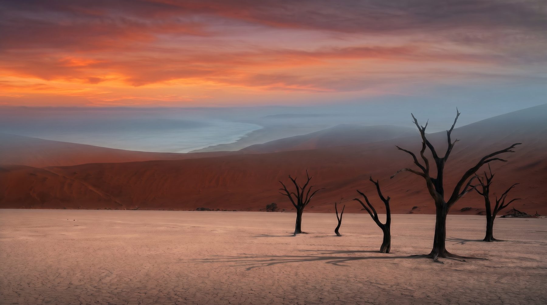 Namib desert and Atlantic horizon — Namibia
