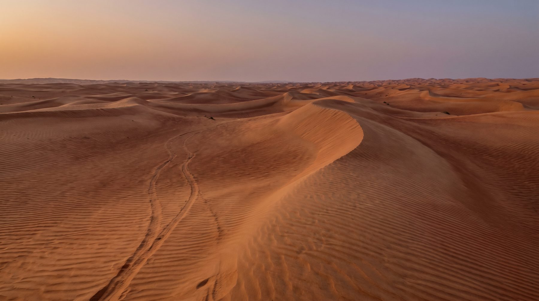 Treaty and business context — Oman