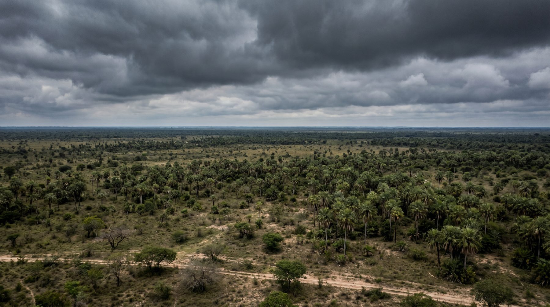 Treaty and business context — Paraguay