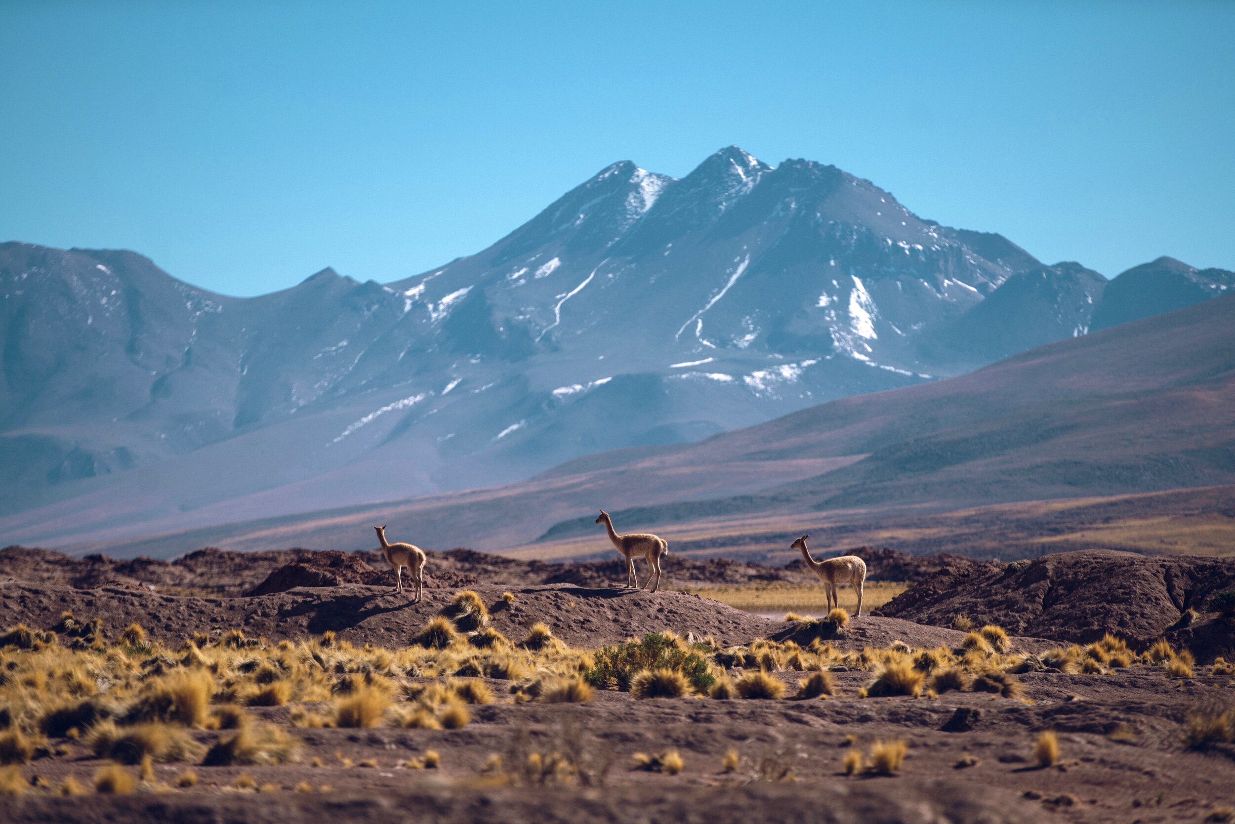 Atacama Desert, Chile