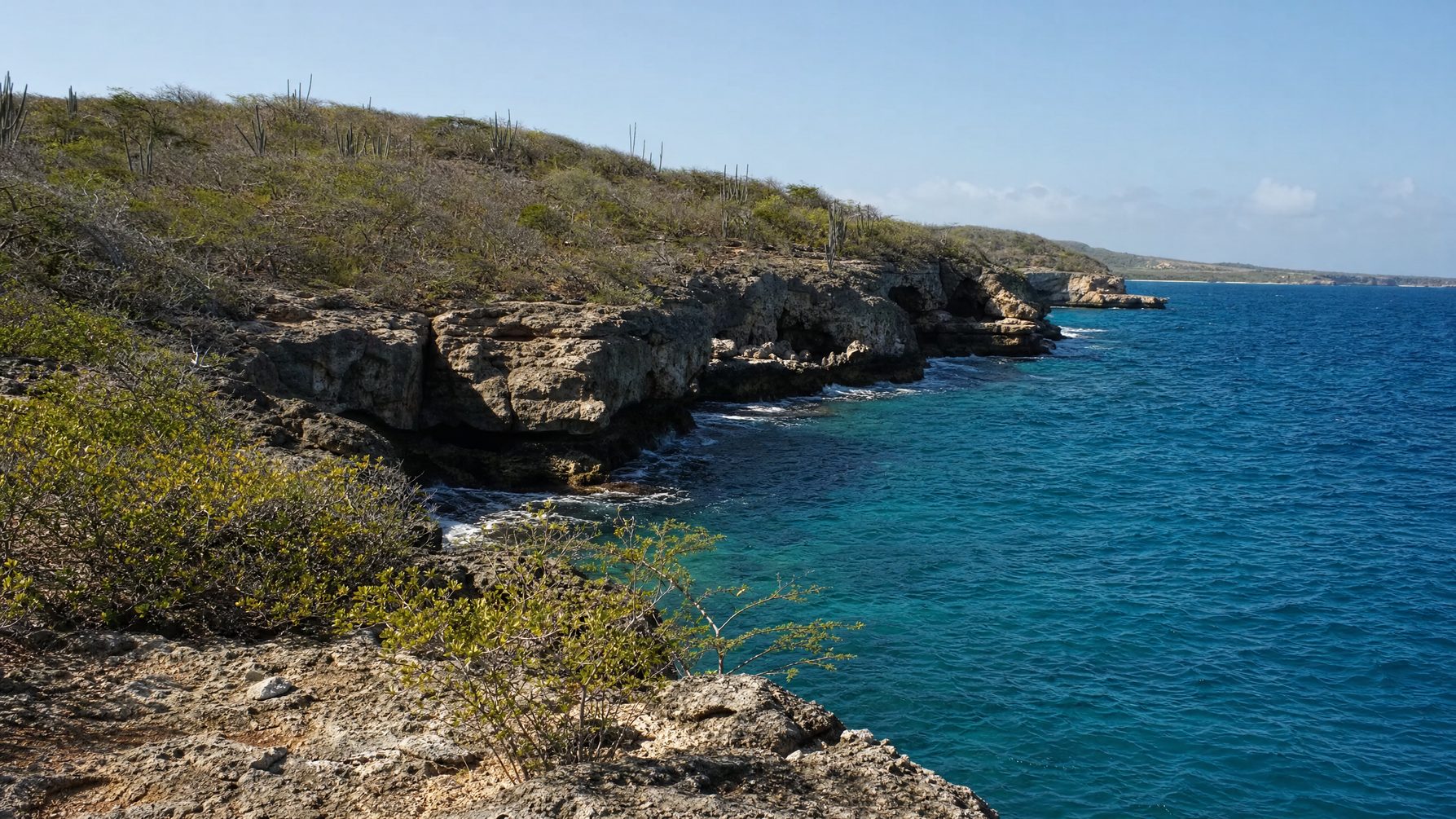 Westpunt coastline and dry Caribbean landscape