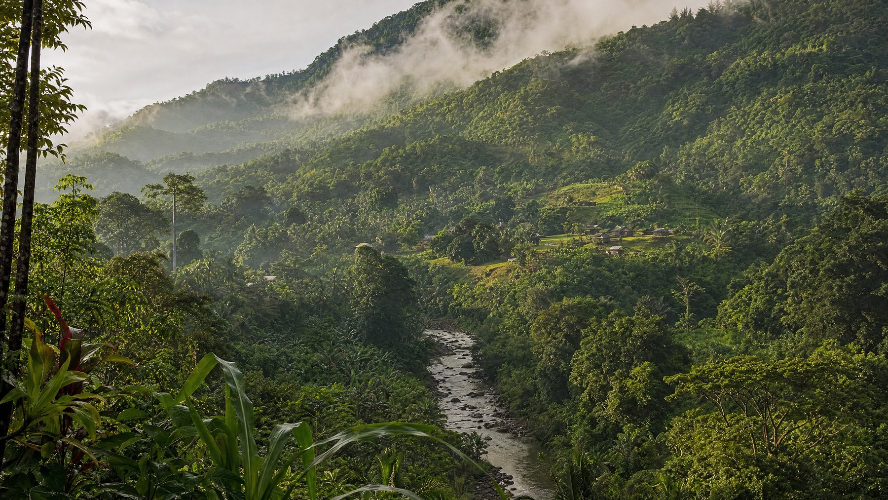 Viti Levu highlands and rainforest river valley