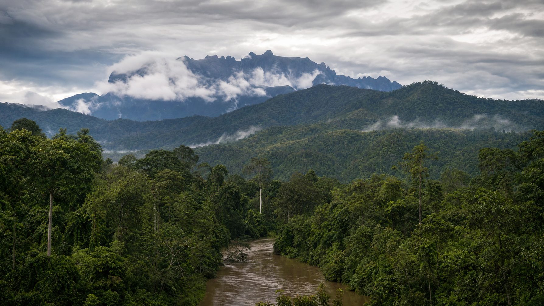 Malaysian Borneo rainforest and mountains under mist