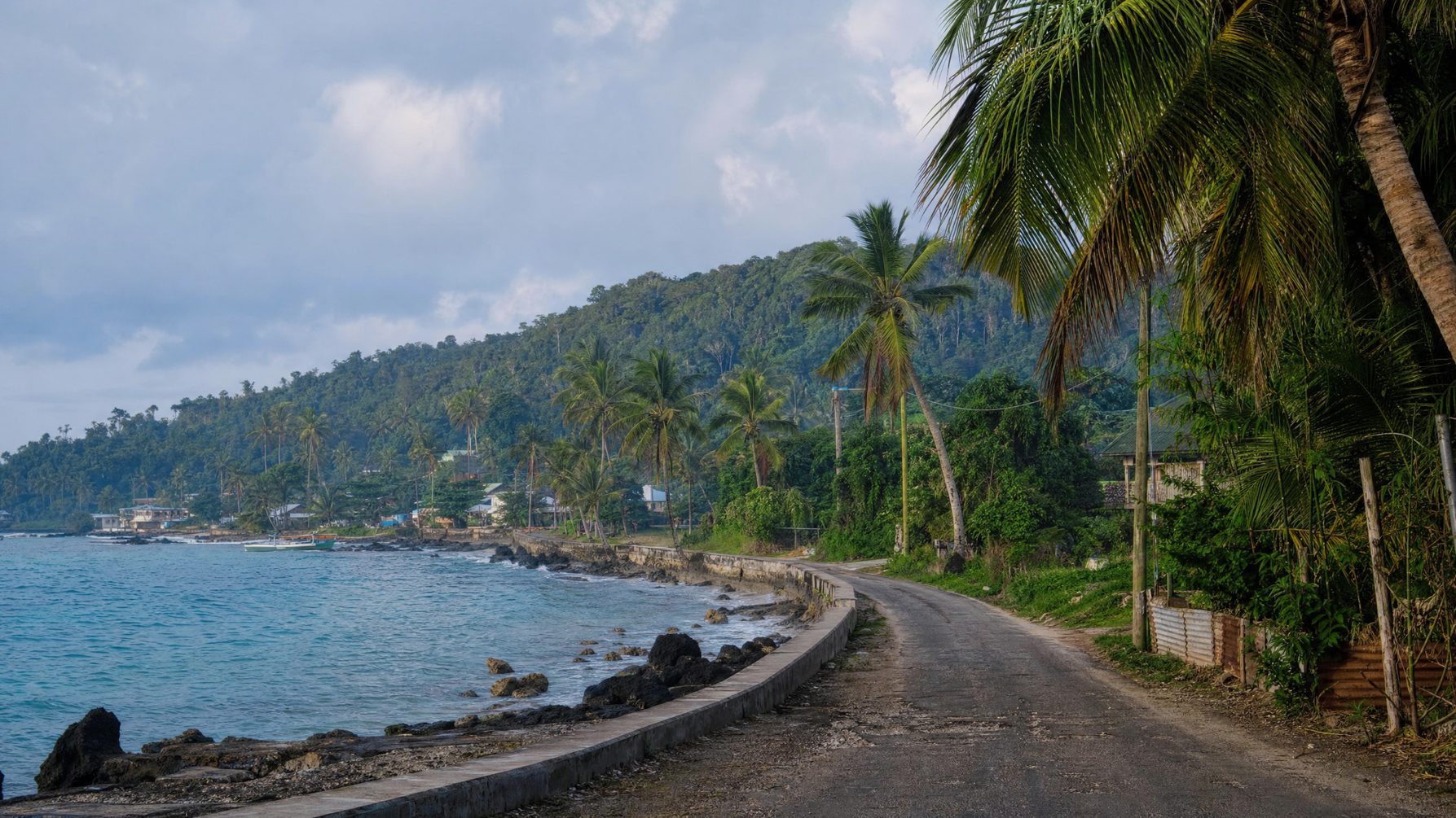 Efate Island coastline and tropical road